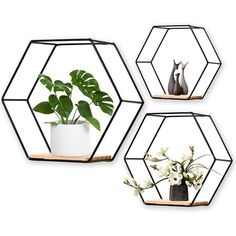 three metal hexagonal shelves with plants and vases