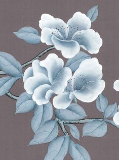 blue and white flowers on a gray background