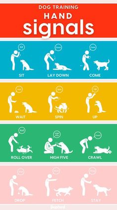 dog training hand signals Dog Training Hand Signals, Dog Body Language, Dog Commands, Hand Signals, Dog Language, Dog Facts, Dog Hacks, Dog Care Tips, Puppy Care