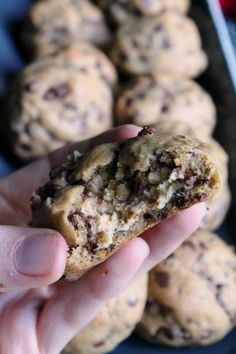 a person holding a chocolate chip cookie in their hand