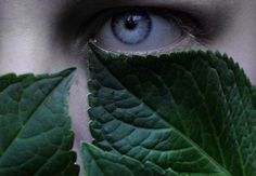 a woman's blue eye with green leaves covering her face in front of her