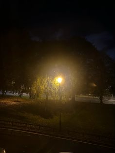 a street light in the middle of a park at night