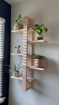 the shelf is made out of wood and has plants on it