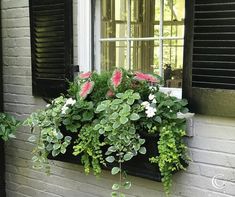 a window box filled with pink and white flowers