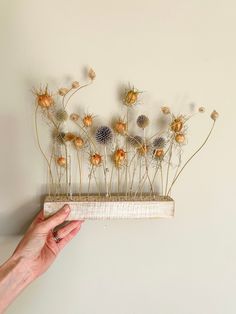 a hand is holding a piece of wood with dried flowers on it and the wall behind them