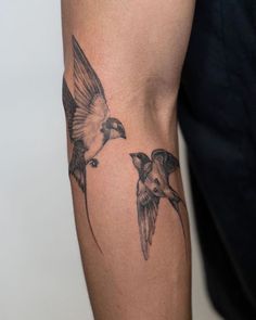 a couple of birds that are on the arm