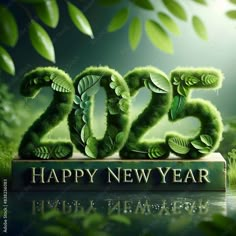 a happy new year card with the numbers 205 and leaves on it in green grass