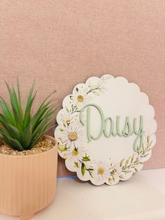 a potted plant sitting next to a sign that says daisy