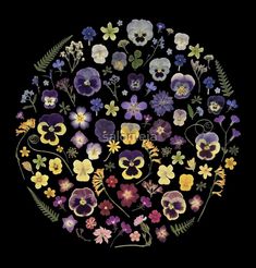 an image of flowers arranged in the shape of a circle on a black background by corbi