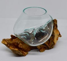 a clear glass vase sitting on top of a piece of driftwood with water in it