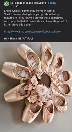 several pairs of ballet shoes are arranged in a circle with the caption's description below