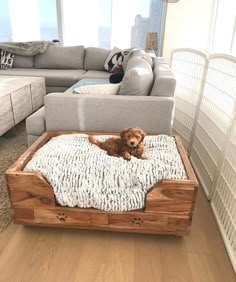 a dog laying on top of a bed in a living room