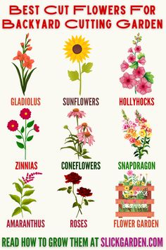 the best cut flowers for backyard cutting garden info sheet on how to grow them at slack garden