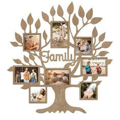 a family tree with many photos and the word family written on it's side