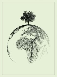 the earth has trees growing on it