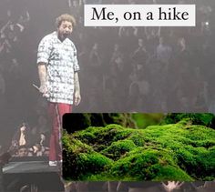 a man standing on top of a moss covered rock next to a photo of people