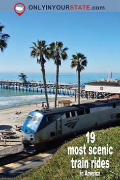 a train traveling down tracks next to the ocean with palm trees in front of it