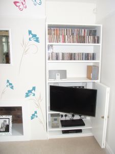 a living room with a tv, bookshelf and fireplace