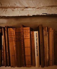 old books are lined up on a shelf