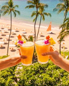 two people holding up glasses with drinks in front of an ocean and palm tree lined beach