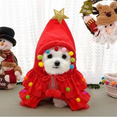 a small dog dressed up as a christmas gnome and other stuffed animals in front of a window