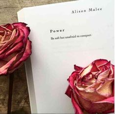 two pink roses sitting on top of a piece of paper next to an open book