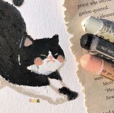 a black and white cat laying on top of a piece of paper next to some crayons