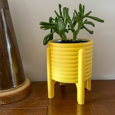 a potted plant sitting on top of a wooden table