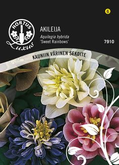 an image of flowers on the cover of a magazine or brochure, called kaunin'n varner sekte