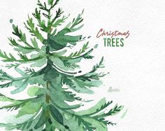 a watercolor painting of a christmas tree with the words christmas trees written on it