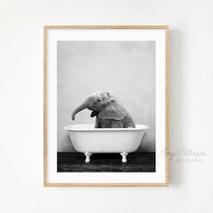 an elephant sitting in a bathtub with its trunk sticking out