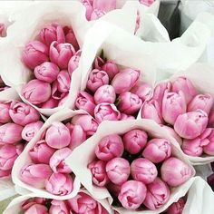 pink tulips with arabic writing on the bottom, and an image of white flowers in