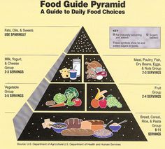 Food Guide Pyramid from Health.gov Healthy Breakfast Food, Nutrition Plate, Low Carb Spaghetti, Dry Beans, Healthy Dog Treat Recipes, Healthy Meals For Two, All I Want For Christmas, Dog Treat Recipes