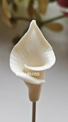 a close up of a white flower on a stick