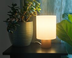 a table lamp sitting next to a potted plant