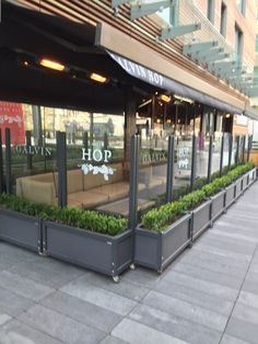 a store front with plants in the windows