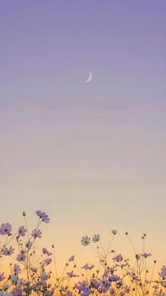 the moon is setting over some purple flowers