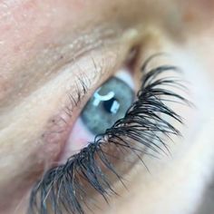 Classic Eyelash Extensions: Tips And Tricks Types Of Eyelash Extensions, Natural Eyelash Extensions, Natural Eyelashes, Lash Adhesive, Wispy Lashes