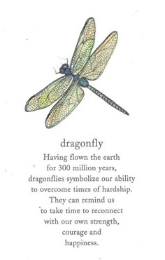 a dragonfly sitting on top of a piece of paper with the words dragonfly above it