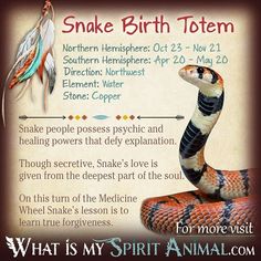 a snake with feathers on it's back and the words snake birth totem