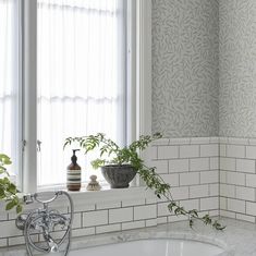 a bath tub sitting under a window next to a plant in a vase on top of a counter