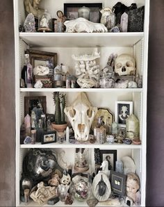 a shelf filled with lots of different types of skulls and vases on top of it