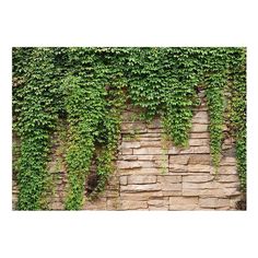 an ivy covered brick wall with green vines growing up it's sides and bottom