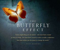 the butterfly effect movie poster with an orange butterfly on it's back and its caption below