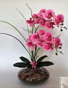 pink flowers are in a glass vase with rocks and greenery on the bottom, against a white background