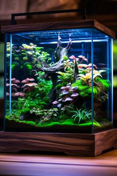 an aquarium filled with lots of green plants