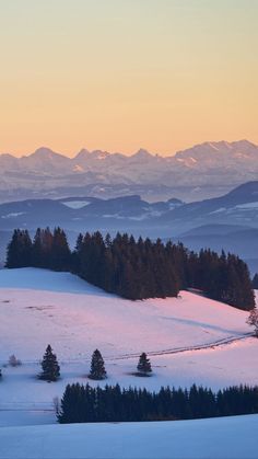 the sun is setting over mountains and trees in the foreground, with snow on the ground