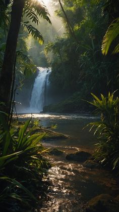 the sun shines brightly through the trees and water cascading down to a small waterfall