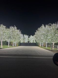 trees line the road in front of a gate at night with white lights on them