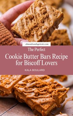 the perfect cookie butter bars recipe for biscuit lovers